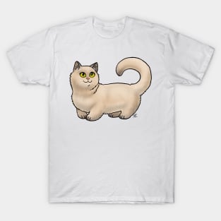 Cat - Munchkin Cat - Cream Shorthair T-Shirt